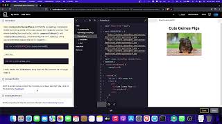 Codecademy Shitty Programming on React Profile