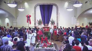 Misa del Domingo de Ramos — 29 de marzo de 2026