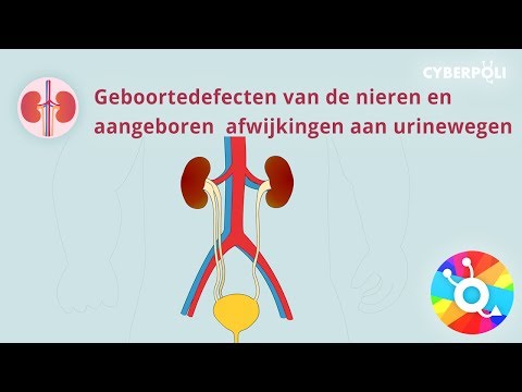 Video: Is geboortedefekte voorkombaar?