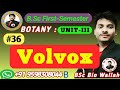 Volvox | Phycology or Algology | #volvox #algae_volvox #algae #bsc #msc #bscbotany #phycology #bsc