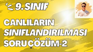 Siniflandirma Soru Çözüm-2