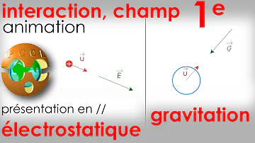 Quels sont les deux types d'interaction electrostatique ?