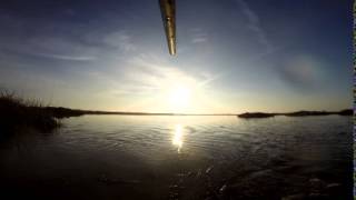 2015 GoPro Duck Slaying at Delevan NWR