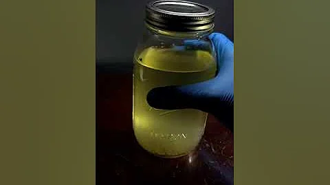 Boiling Water vs Germs Under Microscope (Does boiling pond water kill bacteria?)