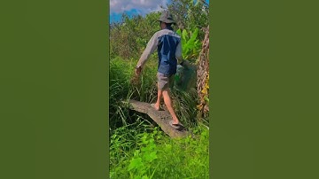 Bắt cá bằng 12 cửa ngục