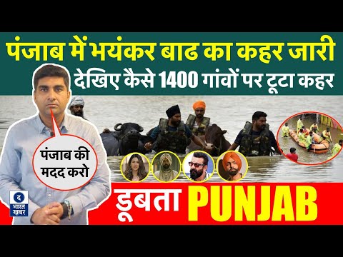 Punjab Floods 2025 | देखें कैसे 1400 गांव डूब गए | भयंकर तबाही में सब कुछ बर्बाद | मदद करें