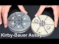 Testing Antibacterial Properties with the Kirby-Bauer Method
