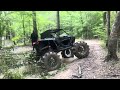 Big rzr running trees over