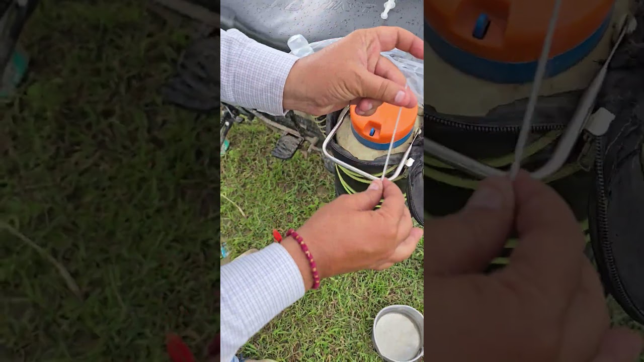 “AI Process Explained in 10 Seconds 🔥 | Artificial Insemination Step by Step” 