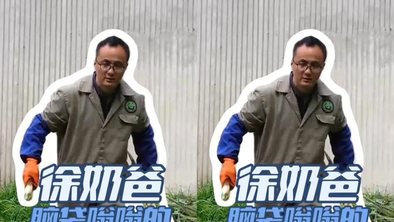 徐奶爸一觉醒来脑袋嗡嗡的，新来的大熊猫竟是福宝堂姐