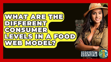 What Are The Different Consumer Levels In A Food Web Model? - Ecosystem Essentials