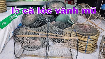 Kĩ thuật đặt lờ cá lóc vành nhựa nhạy cá #fishtrap