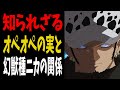 【驚愕の真実】99%が知らないオペオペの実と幻獣種ニカの関係がヤバすぎる！【ワンピース考察】