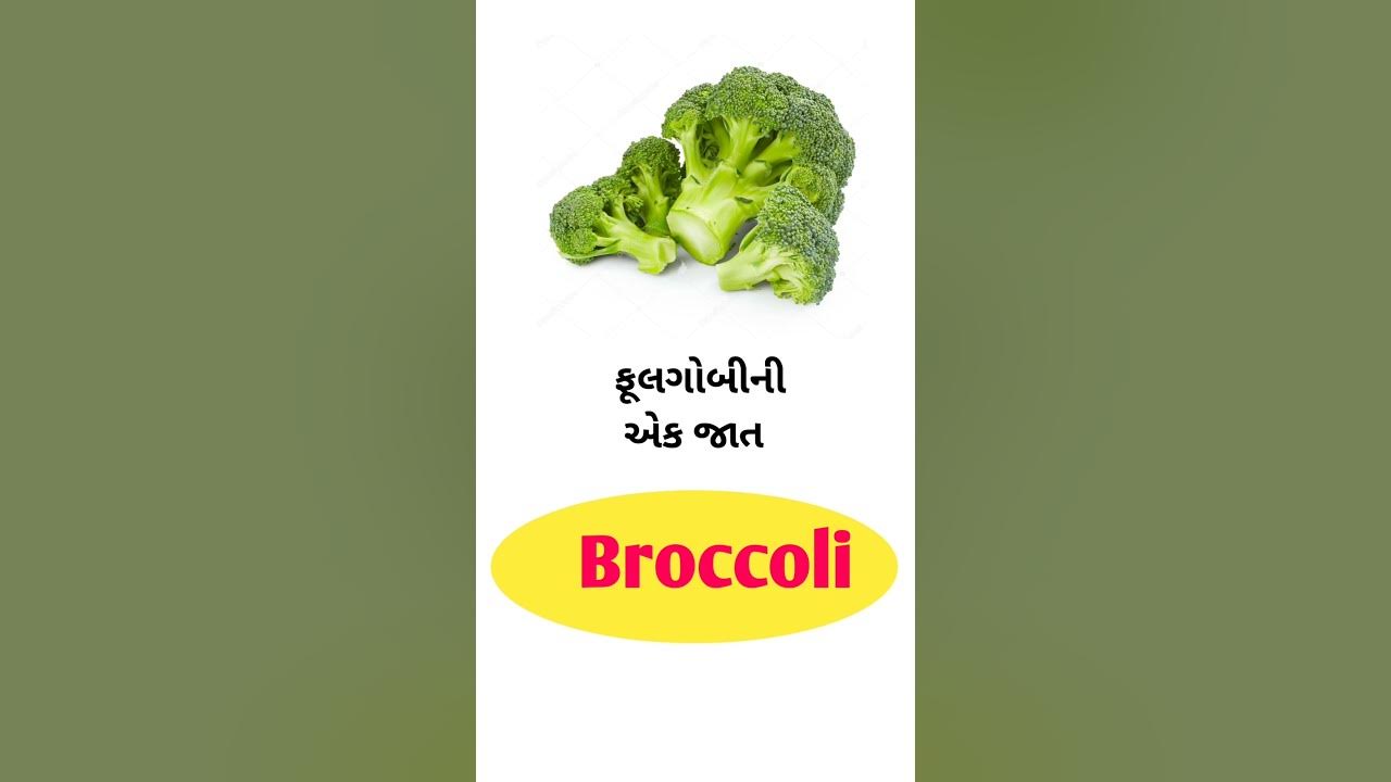 broccoli-meaning-in-gujarati-english-gujarati-dictionary-youtube