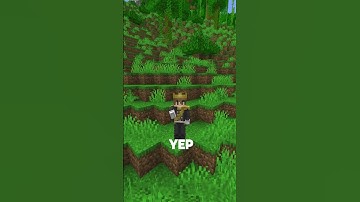 I Saved Pets in Minecraft with a Simple Plugin