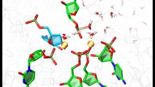 Group II Intron: the ancestor of the human spliceosome
