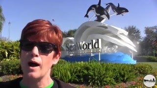 Sea World Orlando Protest for World Dolphin Day