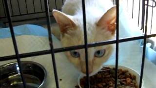 DSCF5441.AVI