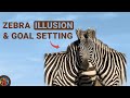 [Importance of Goal Setting] Zebra Illusion