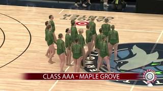 Maple Grove Dance Team Jazz 2020 State Finals (Class AAA)