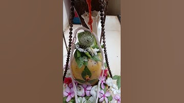 2 अगस्त शिवरात्रि के दिन 1धतूरे का नया उपाय जरूर करे धन संपदा लक्ष्मी प्राप्ति के लिए#shortvideos