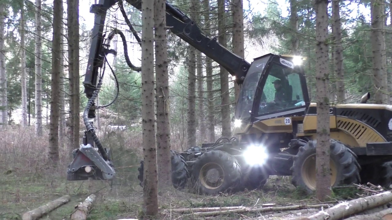 EcoLog 580 C mit LogMax 6000 beim Durchforsten | Thinning