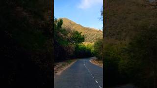 🌿 Hidden Paradise Road 😍🇱🇰Nature’s Beauty at Its Best #shorts