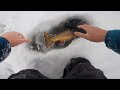 Incredible Ice Fishing Battle With MEGA BROOK TROUT! (Trout Personal Best)