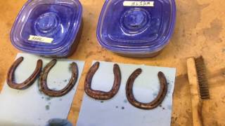 Removing Rust w/ Vinegar Experiment Apple Cider vs White 1, 2, & 10 day result summery Apple Cider Vinegar Vs Rust Remover Which One Removes Rust Better