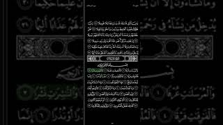 القارئ عبد الله الجهني | سورة المرسلات