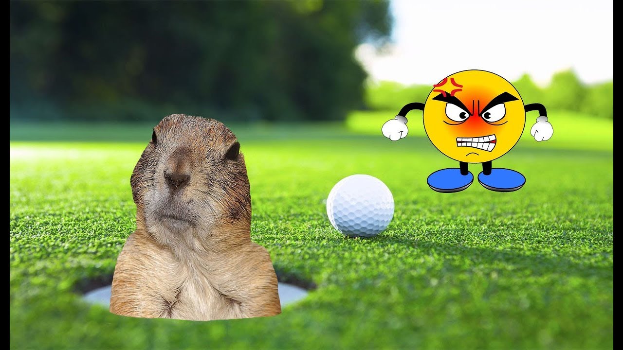 Tanner's Bad At Golf Back at the Barnyard Part 9 YouTube