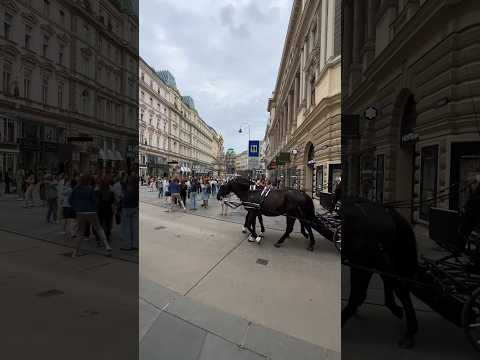 Video: Pestkolumn (Mariensaule) beskrivning och foton - Österrike: St. Pölten