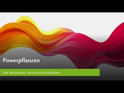 Powerpflanzen, die aktivieren, ohne zu schwächen