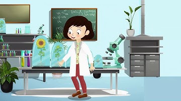 Thông điệp an toàn giao thông - TLB 2019