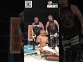 新日本プロレス『BEST OF THE SUPER Jr.33』(5.22) ハイライト #shorts