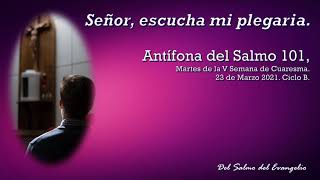 Antífona del Salmo 101, Señor, escucha mi plegaria.