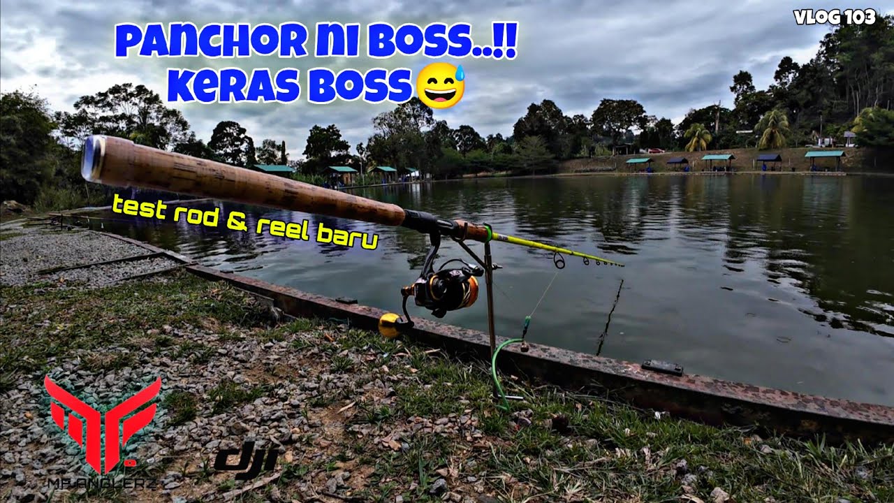 KOMPLOT TERJAH KOLAM PANCHOR 2026 | TEST ROD BUSHIDO V4 | EXPERT GRAPHITE CRUZADOR #VLOG103