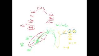 CVS MODULE LECTURE 1 by Dr Bayan