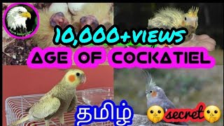 How To Find The Age Of Atiel Bird Tamil More About Pets Map