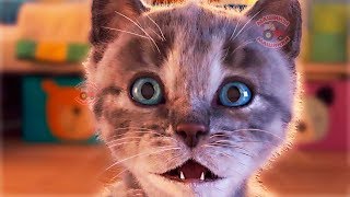ПРИКЛЮЧЕНИЯ МАЛЕНЬКОГО КОТЕНКА В ШКОЛЕ - Развивающий мультфильм для детей! Мультик про котят #3 ПРИКЛЮЧЕНИЯ МАЛЕНЬКОГО КОТЕНКА В ШКОЛЕ - Развивающий мультфильм для детей! Мультик про котят #3