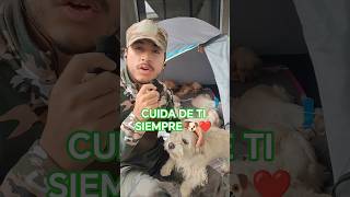 Cuida de ti siempre, y de tus peludos #moshi #motivacionperruno #motivation #perro #dog