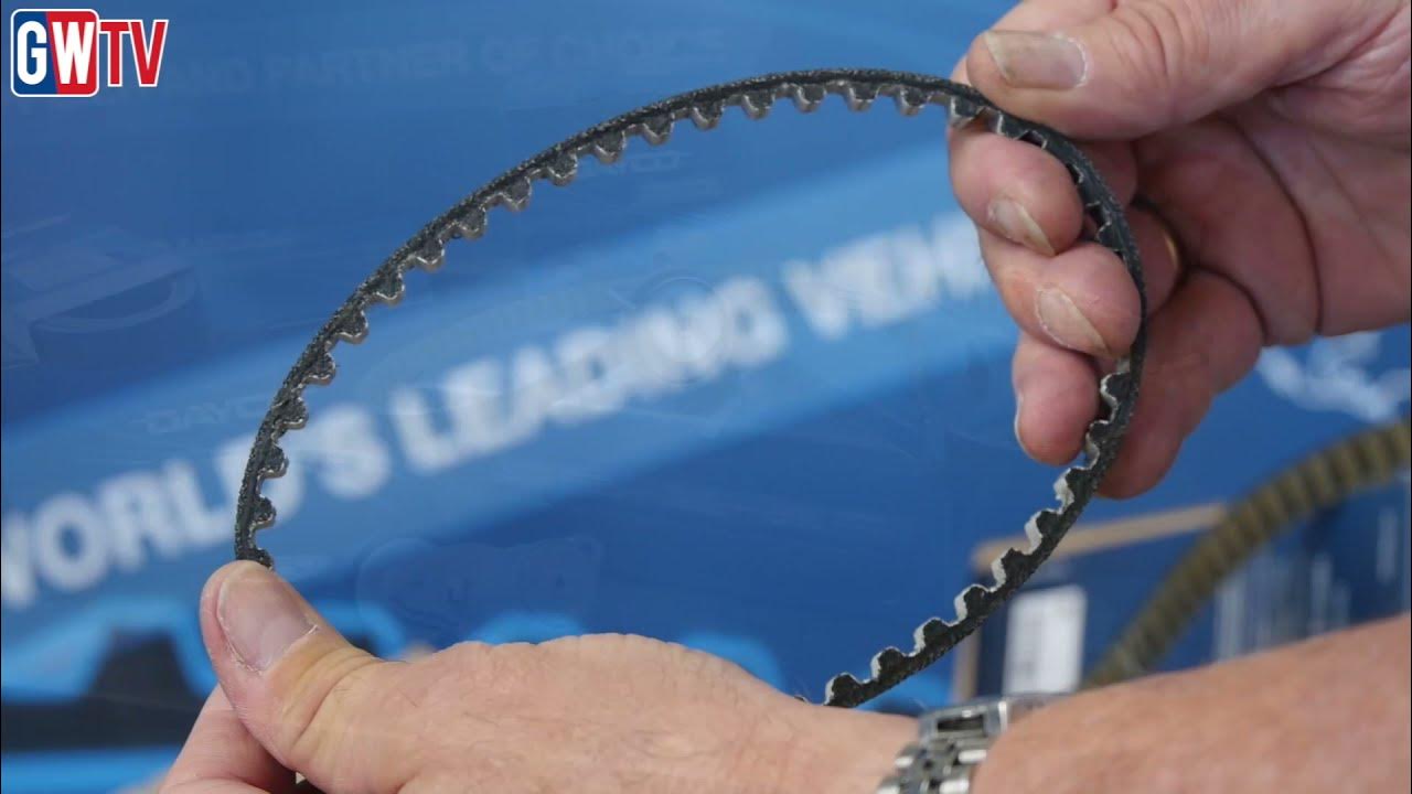 🔵 Ford 1.0 Ecoboost timing belt replacement 🔴 YouTube