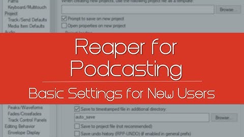 Some Basic Preference Adjustments When Using Reaper for Podcasting
