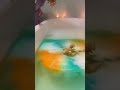 🐤🐤#poussin #bain #animauxmignons #cuteanimals #animalvideo #mignon #relaxingvideo