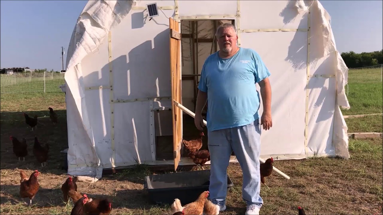 Having Egg production problems? Possible Solutions