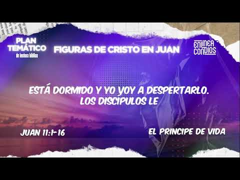 Día 11 - EL PRINCIPE DE VIDA