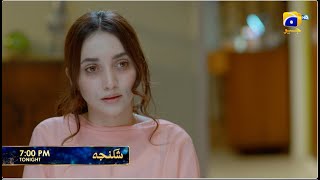 Download Lagu Shikanja Episode 46 Promo | Tonight at 7:00 PM only on Har Pal Geo MP3