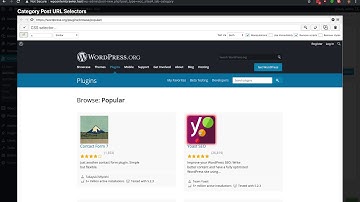 Category Settings with Next Page Example - WP Content Crawler