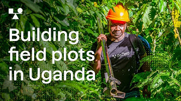 Building field plots in Uganda