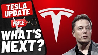 Athlete Statistics 🚨 Tesla Cuts Prices AGAIN..(sign of Strength OR Weakness?)